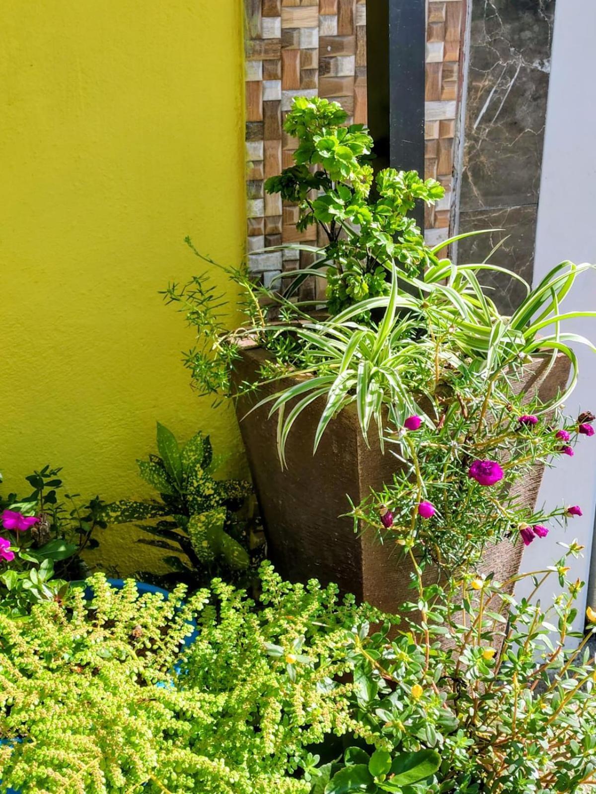 Hospedagem Encantos Da Serra Itatiaia  Esterno foto
